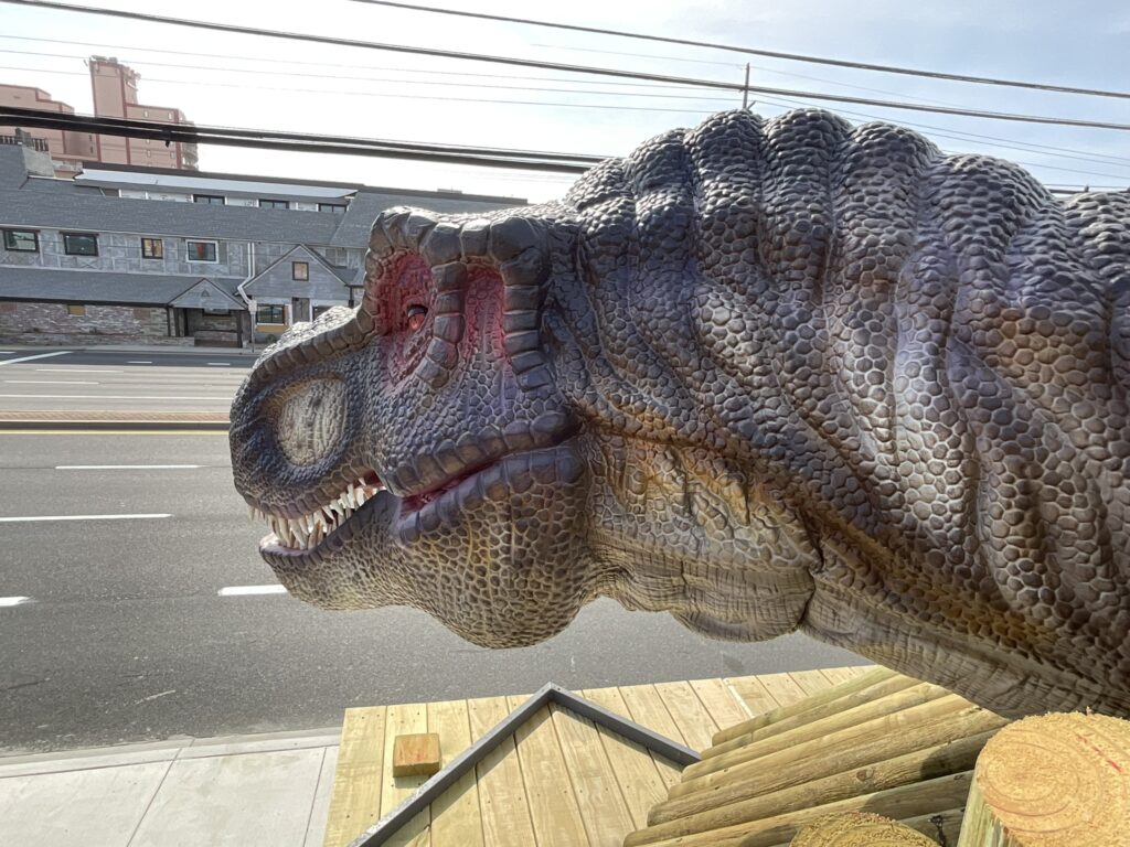 Nick’s Dino Golf – Ocean City, MD project photo