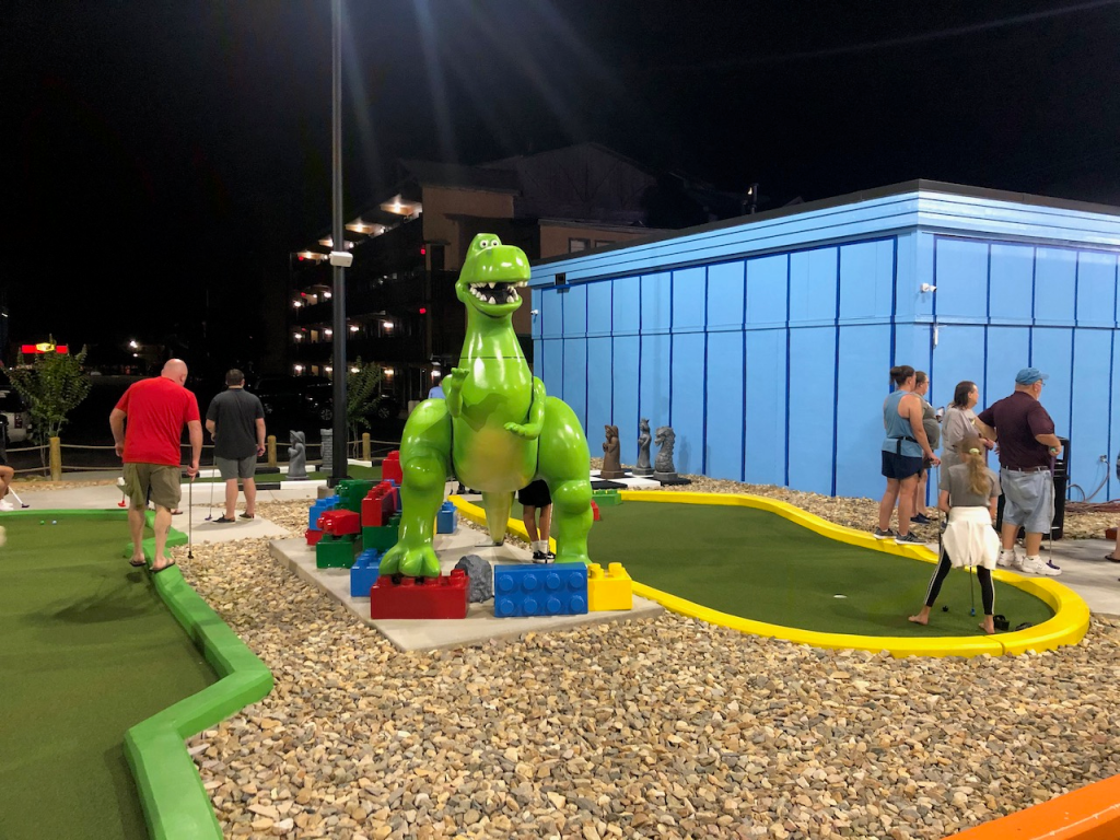 img 1177