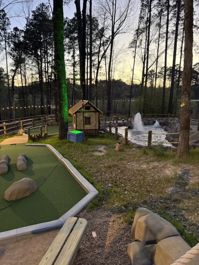 Dark Woods Adventure Park – Natchitoches, LA project photo