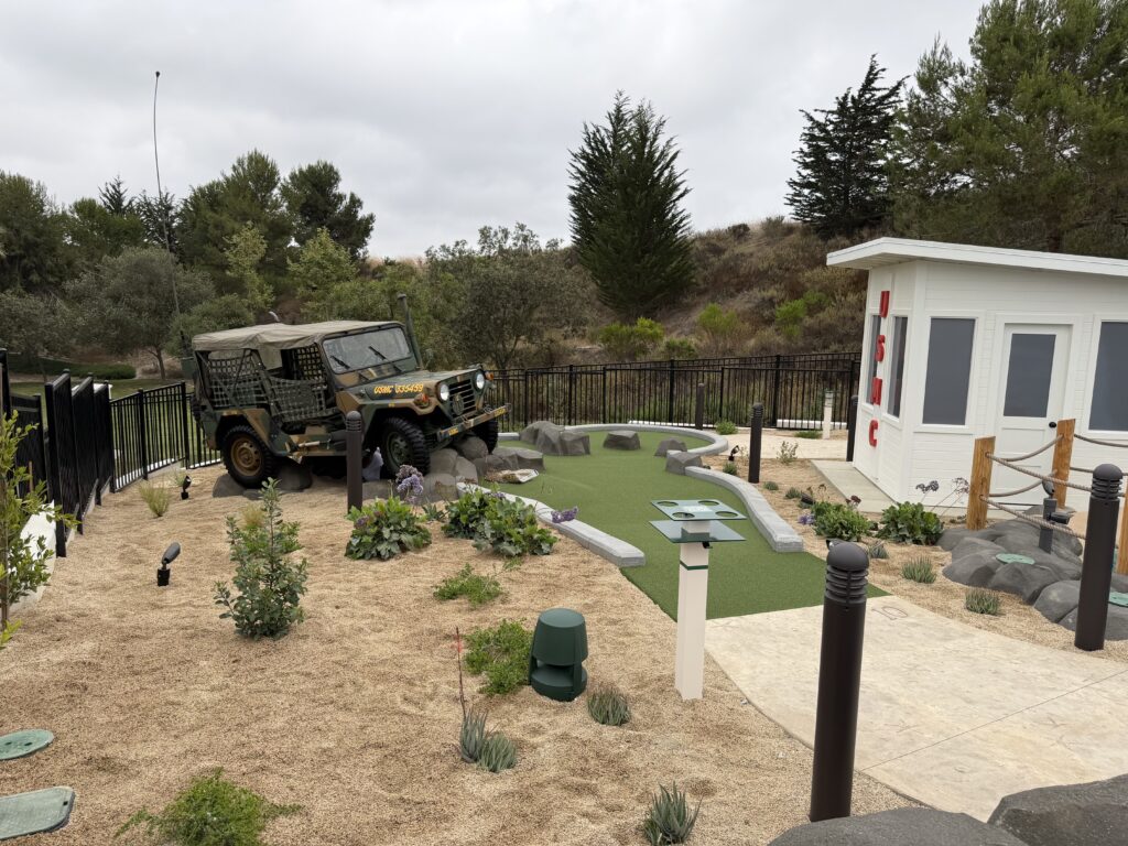 Salty Turf project photo